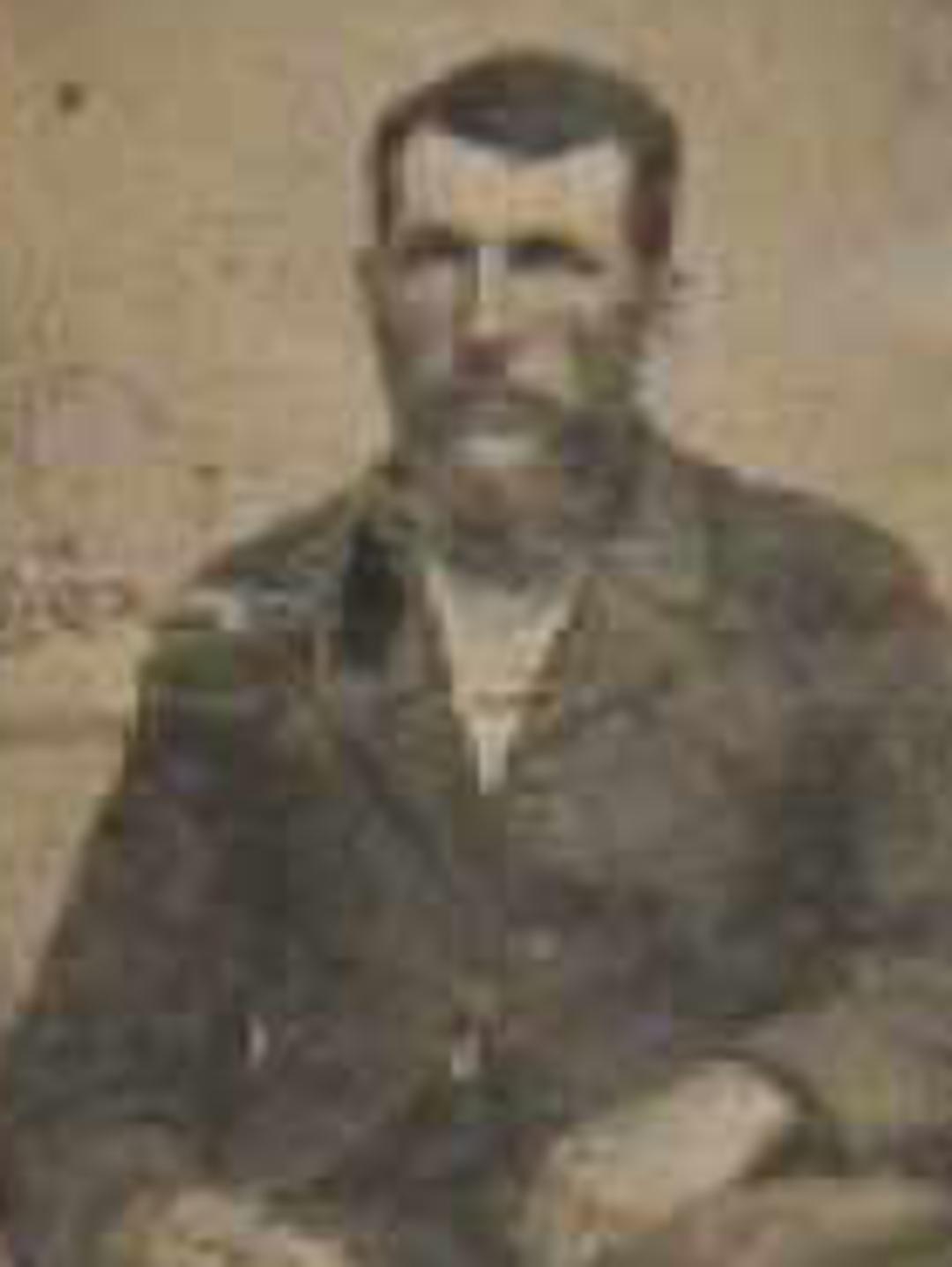 David Edward Adams (1851 - 1939) Profile